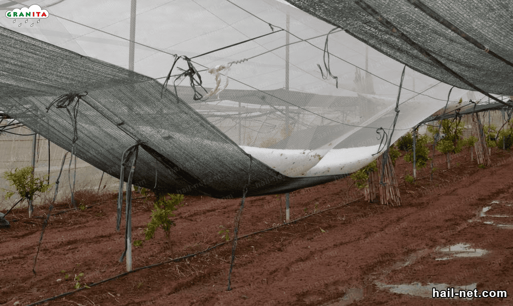 large amount of hail on top of the hail net