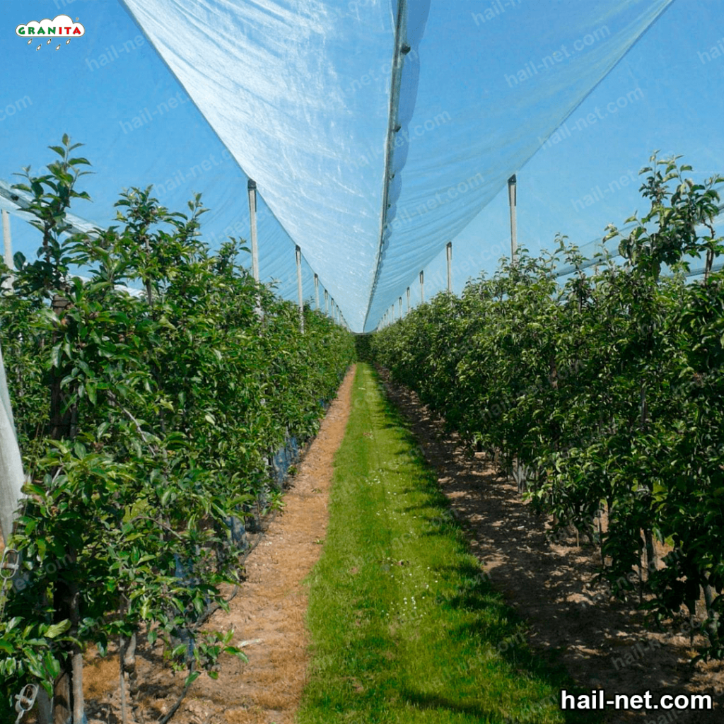 hail mesh installed in a field