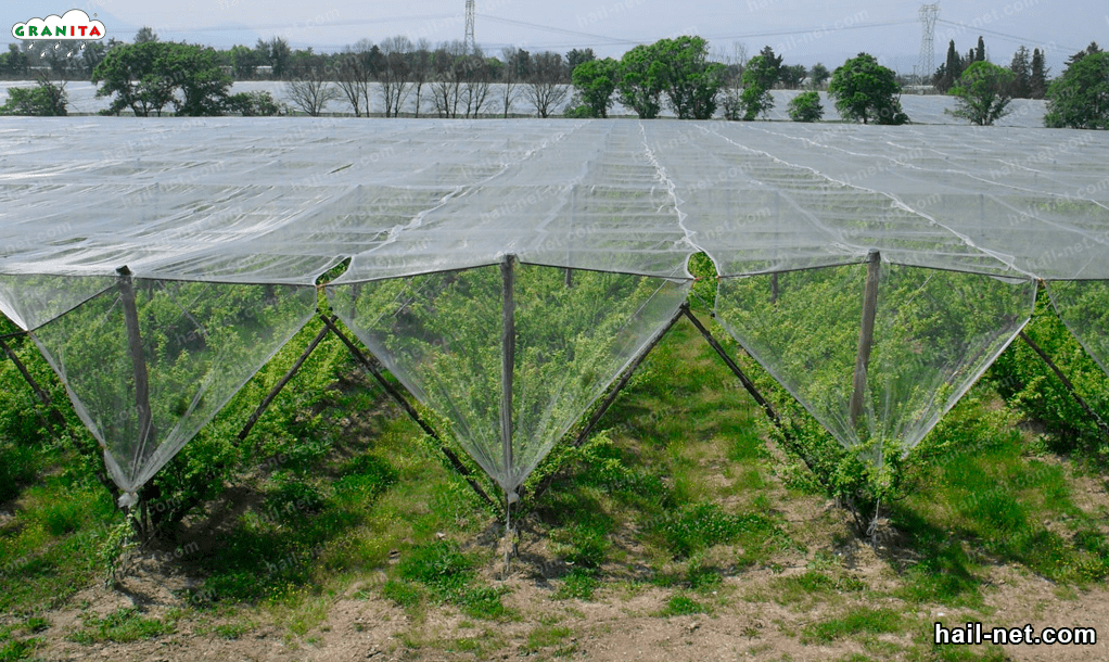 protect your crops from hail by installing the hail barrier netting.