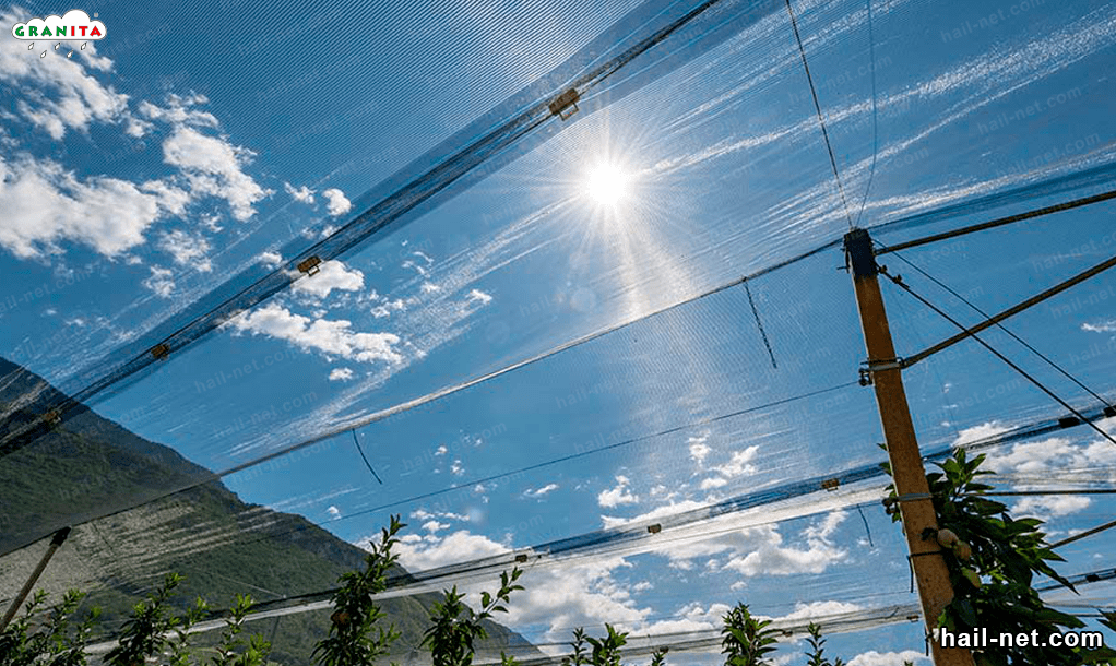 hail mesh installed in a field