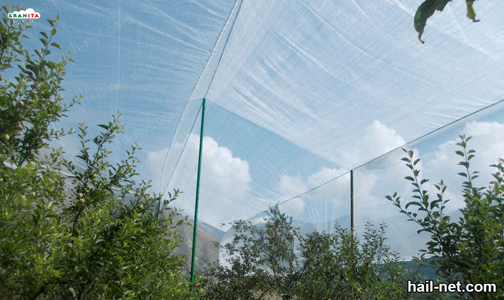 Protect your nurseries from hail with the help of the hail net